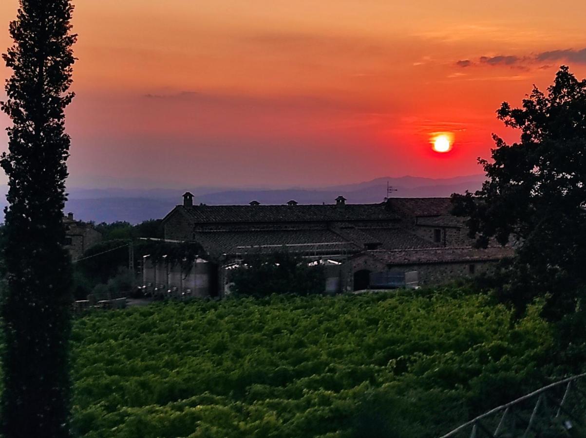 شقة Castel Brunello مونتالشينو المظهر الخارجي الصورة