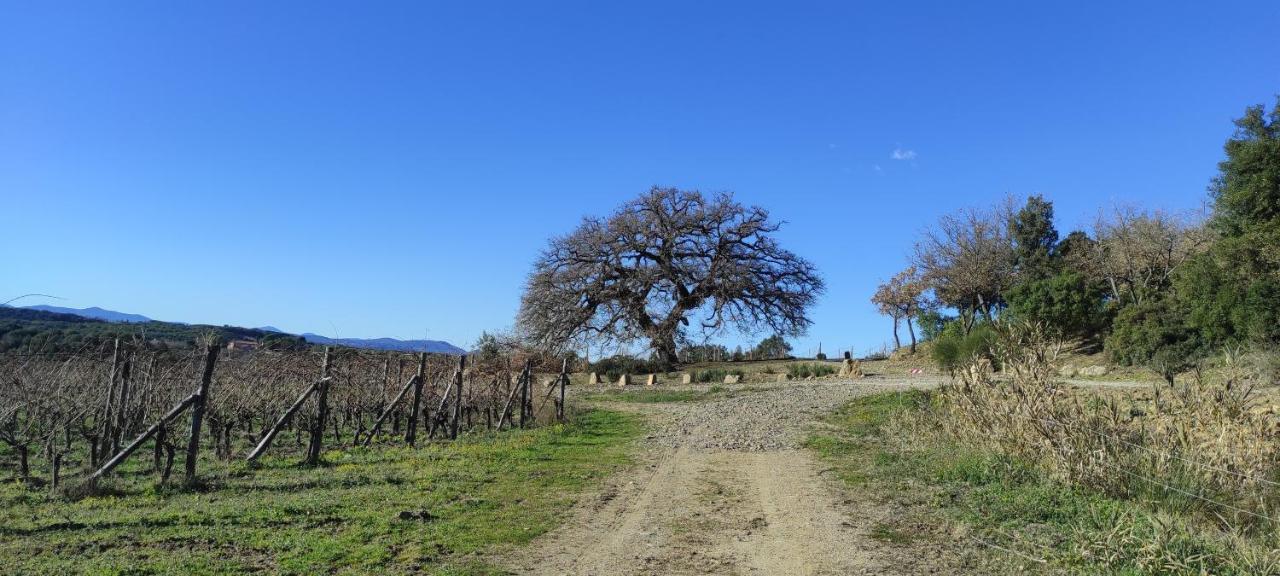 شقة Castel Brunello مونتالشينو المظهر الخارجي الصورة