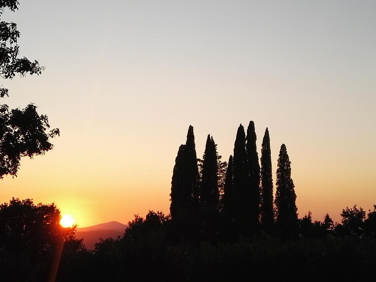 شقة Castel Brunello مونتالشينو المظهر الخارجي الصورة