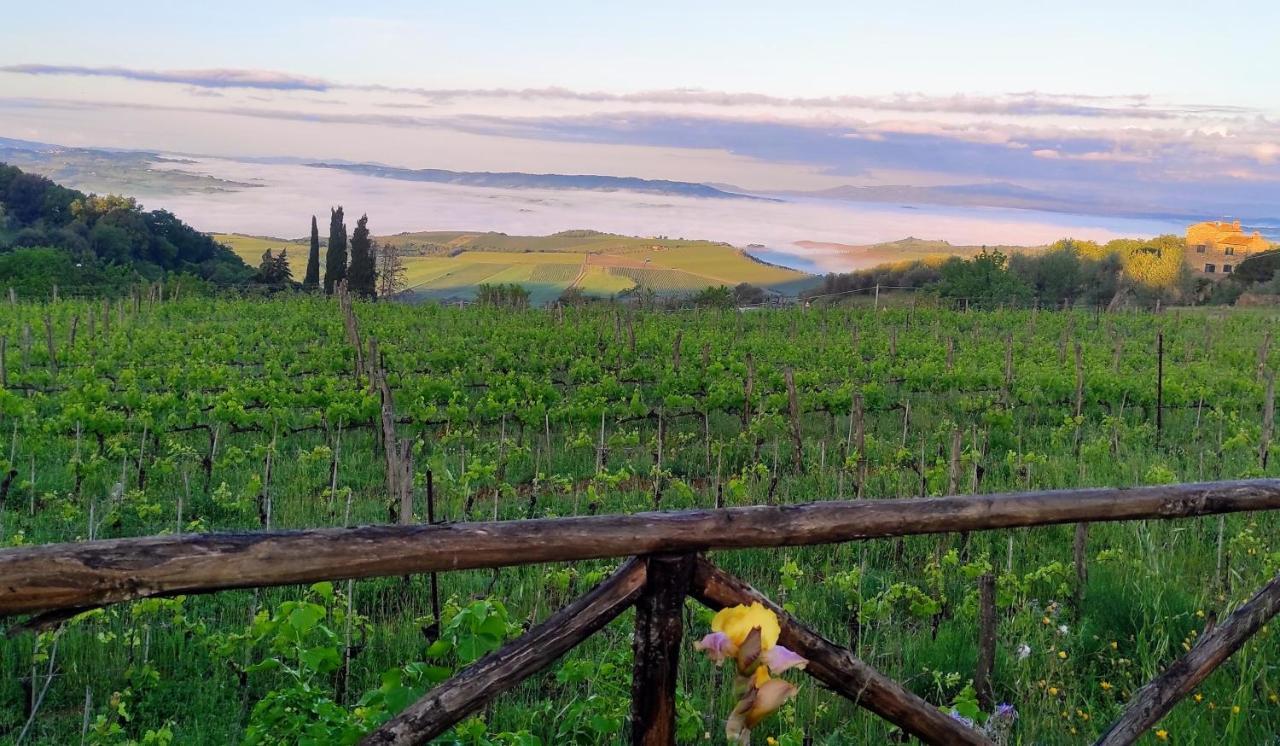 شقة Castel Brunello مونتالشينو المظهر الخارجي الصورة