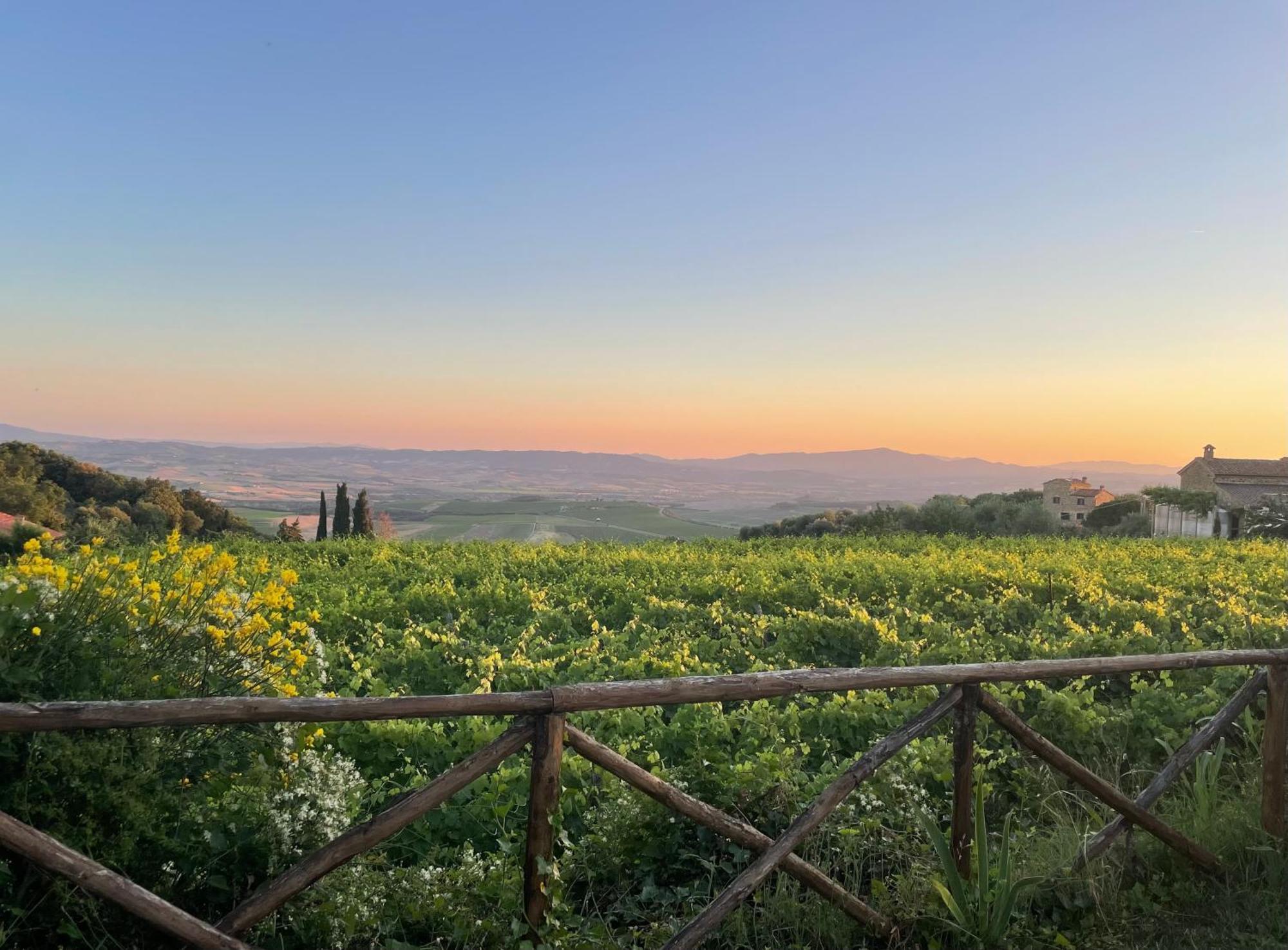 شقة Castel Brunello مونتالشينو المظهر الخارجي الصورة