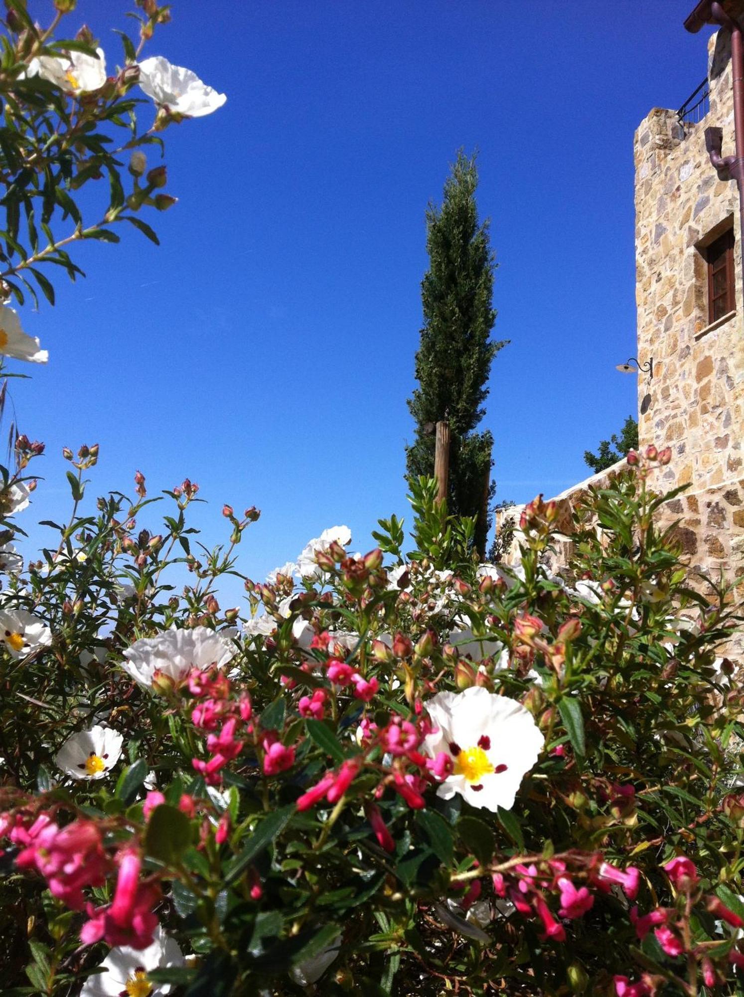 شقة Castel Brunello مونتالشينو المظهر الخارجي الصورة