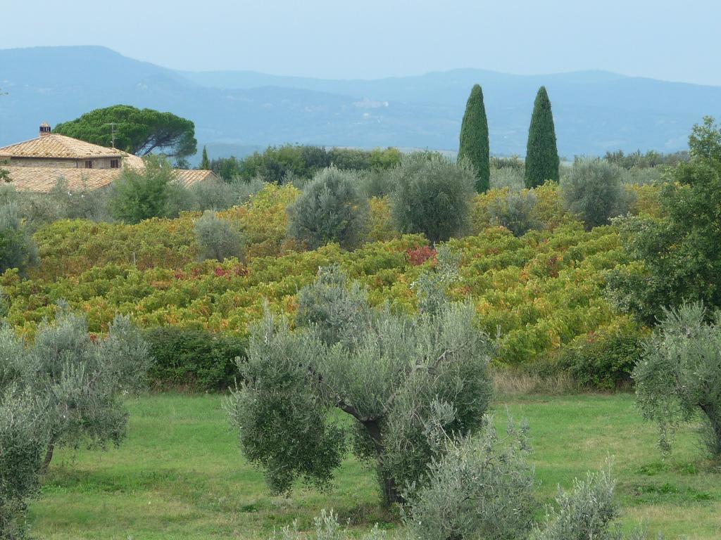 شقة Castel Brunello مونتالشينو المظهر الخارجي الصورة